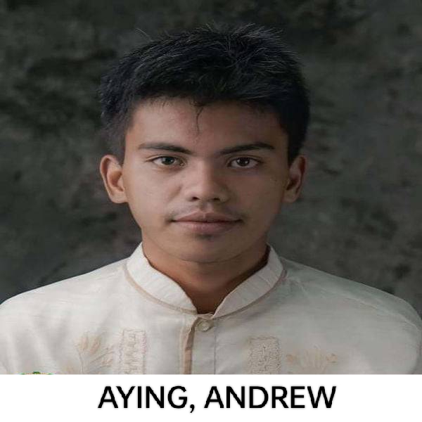 Andrew Estiola Ayingo